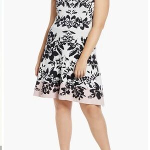 Nordstrom Eliza J Jacquard Fit & Flare Sweater Dress